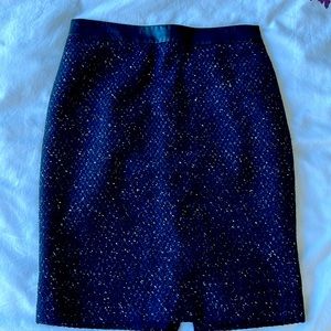 Ann Taylor skirt 00